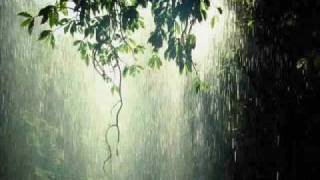 Relaxing Rain Music With Harp [upl. by Blanka357]