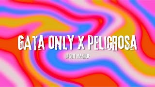 GATA ONLY X PELIGROSA FloyyMenor Jr Stit Mashup [upl. by Lowndes649]