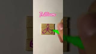 Trillium kryptontesla howtodraw drawingtutorials viralvideoshorts flowers [upl. by Assillem]