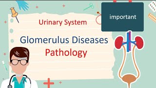 Glomerulus Disease  Pathology [upl. by Eigroeg]