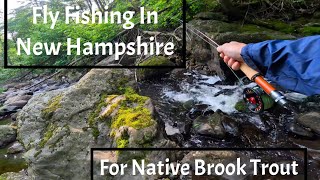 Fly FishingNew HampshireNative Brook TroutSummer Time [upl. by Olnee622]