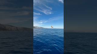 SAILING IN GREECE travel sailing vlog adventure greece kefalloina ithaca [upl. by Ailaza781]