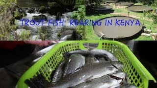 TROUT FARMING AND AQUAPONICS FARMING TECHNOLOGY [upl. by Mur]