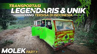 TRANSPORTASI PALING UNIK amp LEGENDARIS DI INDONESIA‼️Naik MOLEK Menyusuri Hutan Belantra Sumatra13 [upl. by Ys]