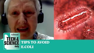 UK Ecoli outbreak how to avoid catching infection Tech amp Science Daily podcast [upl. by Notlih]