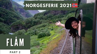 Journey Through Norways Scenic Wonders A Road Trip to Flåm and the WorldFamous Flåm Railway [upl. by Adian526]