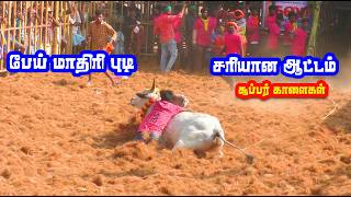 புடிவீரர்கள் செம்ம மாஸ் காளைகளும் செம்ம மாஸ்  Kallappatti Jallikattu best video [upl. by Anelat348]