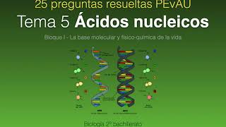 Preguntas resueltas PEvAU quotÁcidos nucleicosquot [upl. by Ricker]