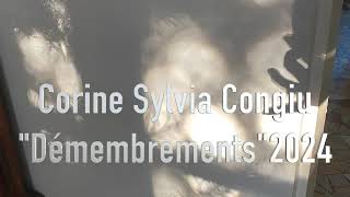 Corine Sylvia Congiu quotDémembrements 2024quot photographies et musique Corine Sylvia Congiu [upl. by Acillegna]