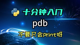 【python】来学学debugger吧，不能只会用print调试呀！ [upl. by Tamaru]