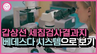 갑상선 세침검사 결과지 베데스다 시스템 알아보기 김포 연세온유외과 외과의사 남상근 [upl. by Wrand]