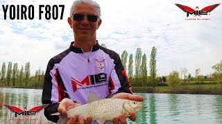 MILO TV  Pesca alla Scardola  Yoiro F807 [upl. by Stoddart]