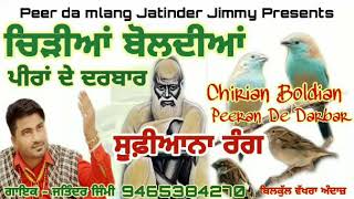 Chirian Boldian  ਚਿੜੀਆਂ ਬੋਲਦੀਆਂ ਪੀਰਾਂ ਦੇ ਦਰਬਾਰ  Jass peera de  Jatinder Jimmy  9465384270  Sufi [upl. by Nahseez799]