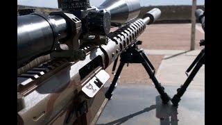 Phoenix Weaponry Emma  Long Range Shooting Rifle  308 AR 10 For Hunting [upl. by Resee]