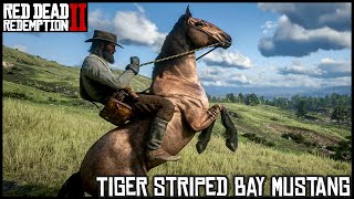 TIGER STRIPED BAY MUSTANG  Red Dead Redemption 2 Story Mode [upl. by Angil]