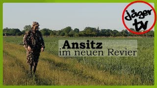 Sauen amp Co  Ansitz im neuen Revier [upl. by Scherman629]