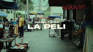 LA PELI  PIRLO x HOZWAL  CARTEL BURLADO 420 Visualizer [upl. by Meil]