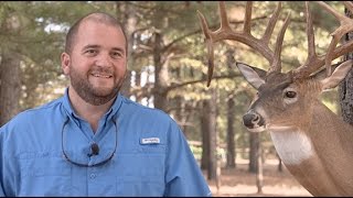 Arkansas Record Whitetail [upl. by Eiser]