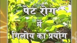 पेट रोग में गिलोय का प्रयोग  आचार्य बालकृष्ण [upl. by Itsrejk164]