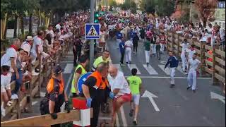 Tercer Encierro Fiestas de Tudela 2024 [upl. by Haikan864]