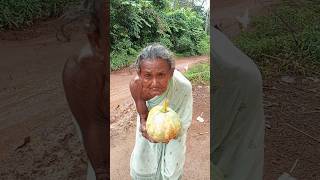 Grandmaa Pumkin Malabar Spinach and Potato curry cooking recipeshortsfeed [upl. by Ecirtaeb916]