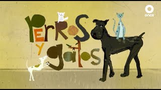 Perros y gatos I Episodio 13 I Eutanasia canina I Once Niñas y Niños [upl. by Sussna122]