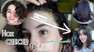 HAZ CRECER TU CABELLO RÁPIDO Y SANO solo 4 ingredientes [upl. by Cleasta988]