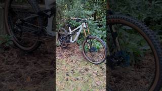 2023 Canyon Torque DH CLLCTV “Kaos Theory” dream Freeride  Bike Park MTB subscribe downhill [upl. by Asoral]