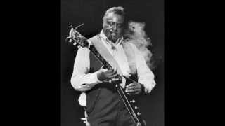 Albert King  Roadhouse Blues [upl. by Liebowitz610]