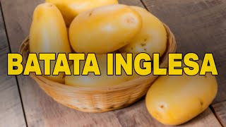 QUEM TEM DIABETES PODE COMER BATATA INGLESA [upl. by Ezirtaeb]