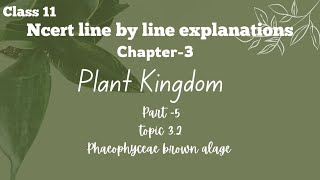 phaeophyceae brown alage  plant Kingdom ncert line by line explanation [upl. by Orelia]