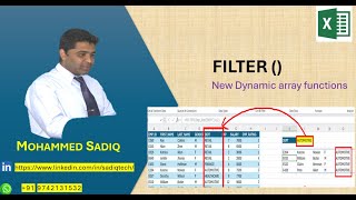 Filter Function in Excel [upl. by Gnagflow]