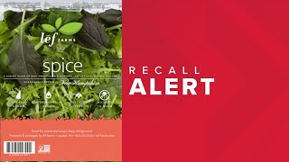 Recall issued for lettuce blend sold at Hannaford Market Basket stores [upl. by Mctyre993]