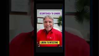 Intestino Delgado La Clave para Desbloquear tu Salud [upl. by Laehcym935]