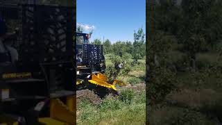 Danuser Intimidator Skid Steer Attachment [upl. by Riocard200]