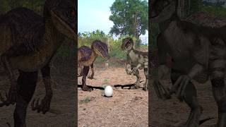 Dinosaur egg hatches at Home dinoegg dinosauregg jurassicpark [upl. by Ecirtak]