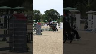 Us at hickstead qualifying for the main ring bellarose horsesaremylife competition horses [upl. by Kcirrag231]