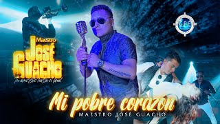 Maestro José Guacho  Mi Pobre Corazón   Video Oficial [upl. by Htenywg]