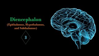 Epithalamus hypothalamus and subthalamus Part03 Prof Ashfaqur Rahman [upl. by Anole]