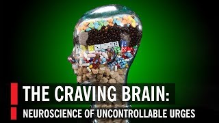 The Craving Brain Neuroscience of Uncontrollable Urges [upl. by Adirehs]