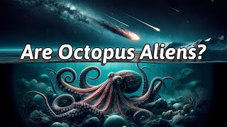 Are Octopus Aliens [upl. by Ainuj]