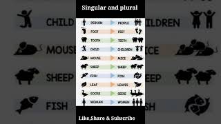 English Grammar Singular and plural Irregular plural nouns [upl. by Geehan]