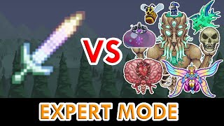 Terraria 14  Terraprisma vs ALL Bosses Expert Mode [upl. by Oinigih]