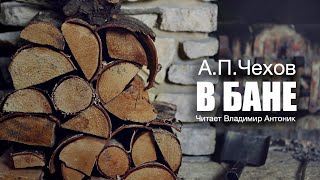 «В бане» АПЧехов Аудиокнига Читает Владимир Антоник [upl. by Henson]