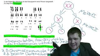 ABITRAINING  Genetik 1 Karyogramm  Analyse und Mutationen [upl. by Weidman685]