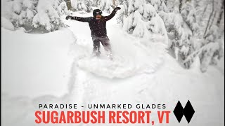 Deep Powder in the Unmarked Glades Off “Paradise” Trail  Snowboarding Sugarbush Resort Vermont [upl. by Stevana]