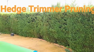 How To Use Hedge Trimmer What You Need To know [upl. by Reinhold704]