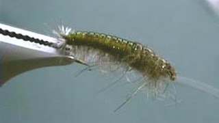 Hydropsyche Caddis Larva fly tying video by Shane Stalcup [upl. by Danit24]