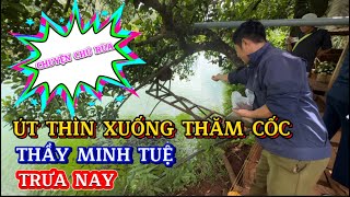 Út Thìn xuống thăm cốc của Thầy Minh Tuệ và chuyện chú rùa thichminhtue minhtue [upl. by Eneleh115]