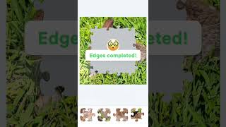 🐇🐇 Rabbit jigsaw Puzzle gaingames [upl. by Heimer487]